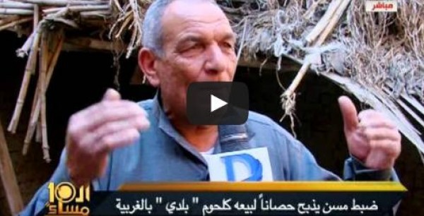 داعية سلفي يذبح الخيول ويبيعها للمواطنين بمصر