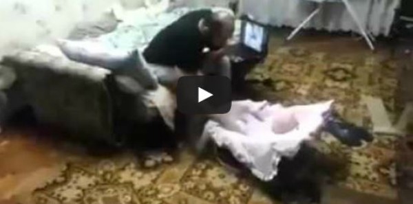 رد فعل قطة أثناء تظاهر رجل بضرب طفله أمامها