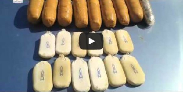 وزارة الدفاع تبث فيديو لجهود قوات حرس الحدود