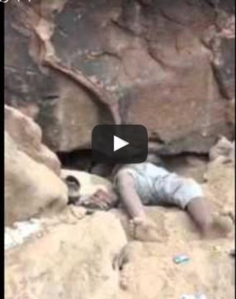 شاهد: شباب يصطادون ذئابا من مغارة سعودية