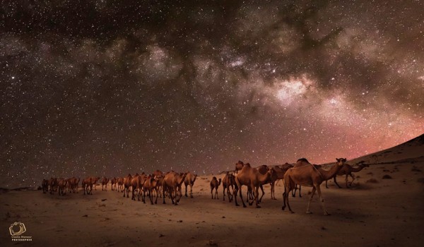 من الصحراء