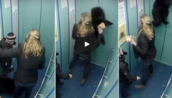 فيديو: حسن تصرف سيدة روسية تنقذ كلبها من الموت شنقا