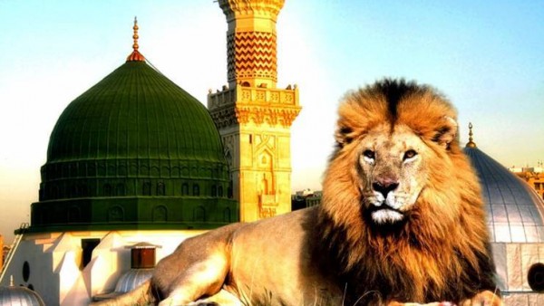 هل تعلم لماذا ستدخل الأسود المسجد النبوي في أخر الزمان