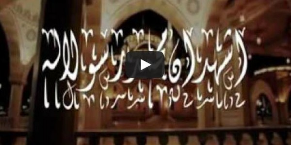 بعد فلاشات إبراهيم سعيد - شهد تنشر أقوى سى دى تشريد