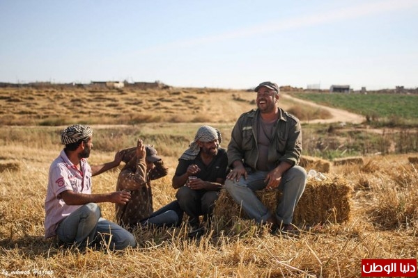 حياة وعمل
