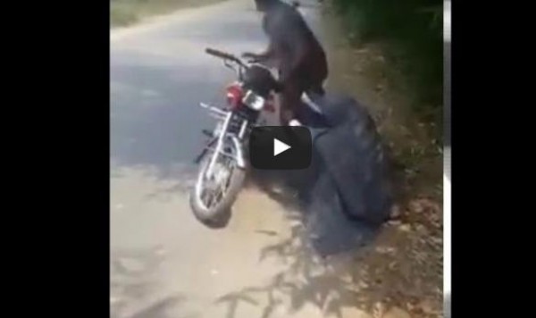 شاهد: سرقة كل متعلقات الرجل