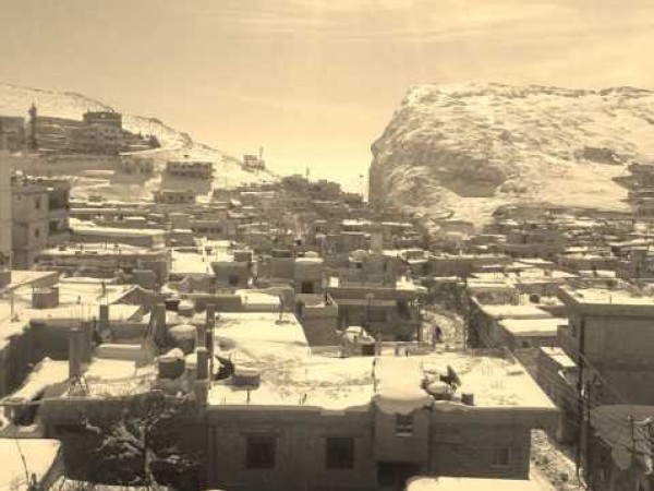 يا طير خذني عالوطن -  رائعة ابو عرب