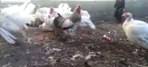 لا تحاول الإقتراب من ممتلكات الغير