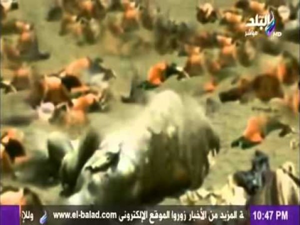 العثور على حجر من سجيل يعود لحادثة الفيل
