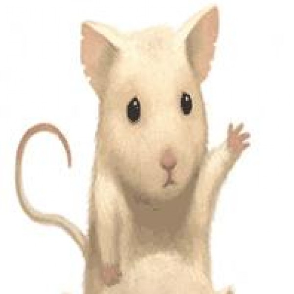 قصة الفار الطماع