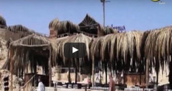 بالفيديو: جزيرة الجفتون.. أول محمية طبيعية في البحر الأحمر