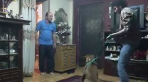 لم تتوقف عن الضحك بعد مشاهدة هذا الحوار بين شاب مصري ووالده