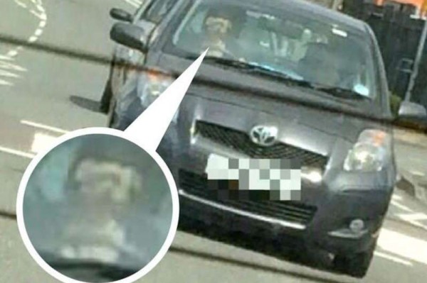 الشرطة البريطانية تبحث عن كلب قاد سيارة