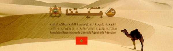مونية معوني: الدبلوماسية الملكية هي دبلوماسية تغيير وتقوية الترسانة الاستراتيجية المغربية