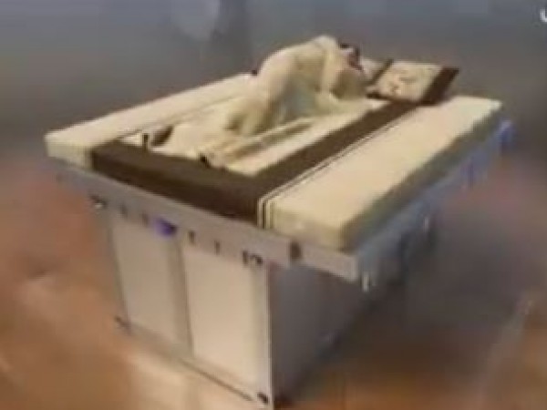 سرير ضد الزلازل في اليابان