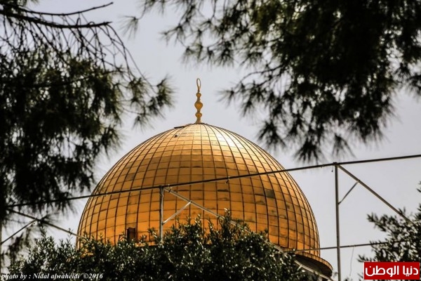 من المسجد الأقصى