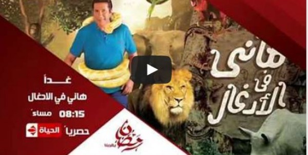 دينا فؤاد تقع في شبالك مقالب هاني رمزي