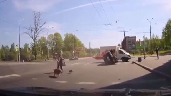 نجاة لا تصدق لإمرأة وكلبيها من حادث مروع