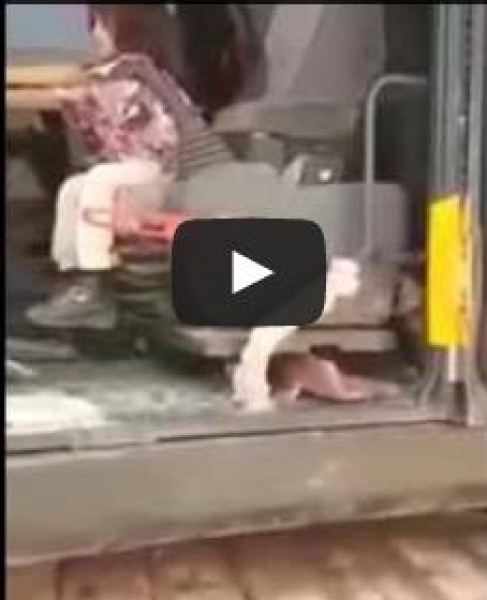 طفلة تقود "حفارة" ضخمة ووالدها يصورها