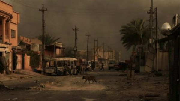"رائحة الحرب تفوح" من الفلوجة بعد تنظيم الدولة الإسلامية