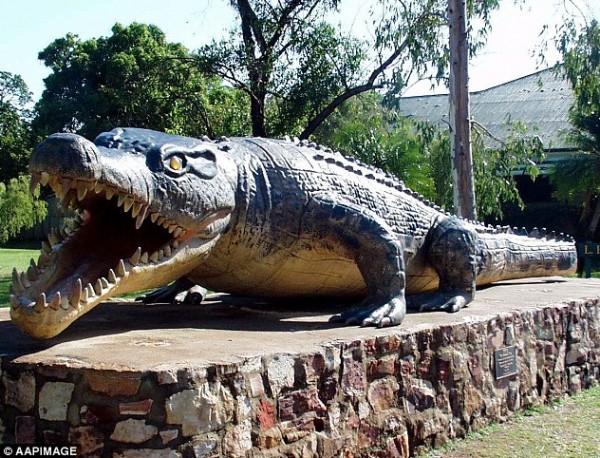بالصور.. أكبر تمساح في العالم بأستراليا