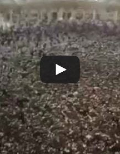 شاهد المسجد الحرام في ليلة ختم القرآن