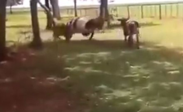 المعنى الحقيقي لكملة الثقة بالنفس