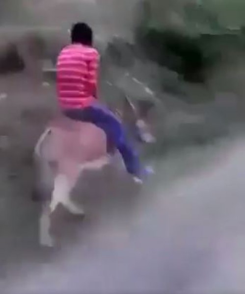 أحدث أنواع السيارات