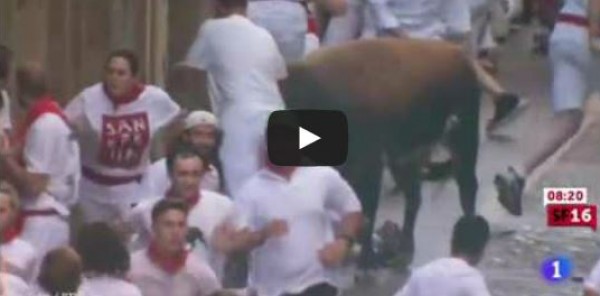 ثور يفتك بعجوز حاول إنقاذ امرأة
