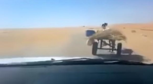 ذكاء حمار لن تصدق ماذا فعل