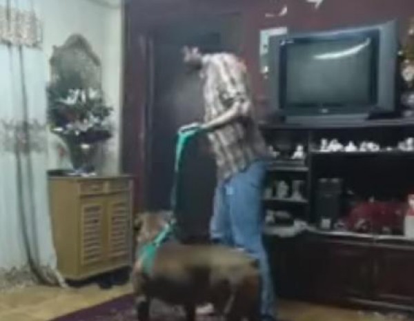 شاب يخيف والده بإستخدام كلب