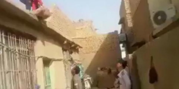 المعنى الحقيقي للغباء