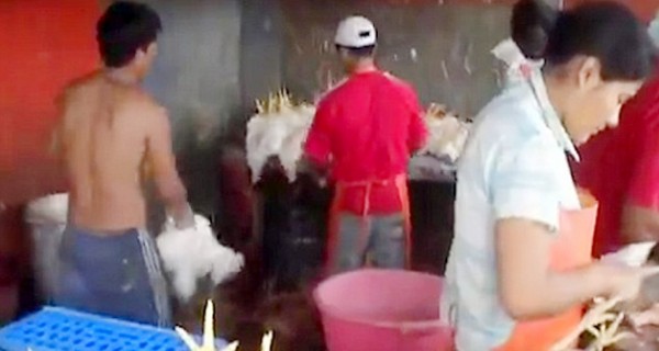فيديو مروع .. رجل يعدم الدجاج باستخدام حركة كاراتيه عنيفة