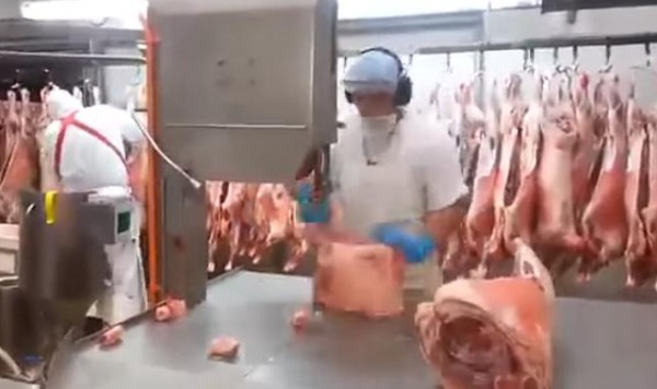أسرع جزار في العالم