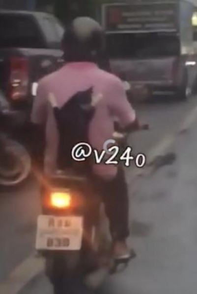 نزهة عائلية
