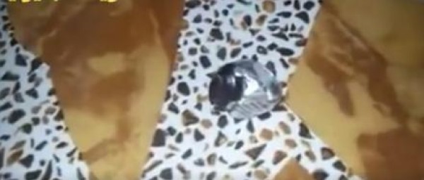 شاهد مفعول السحر على "خاتم"