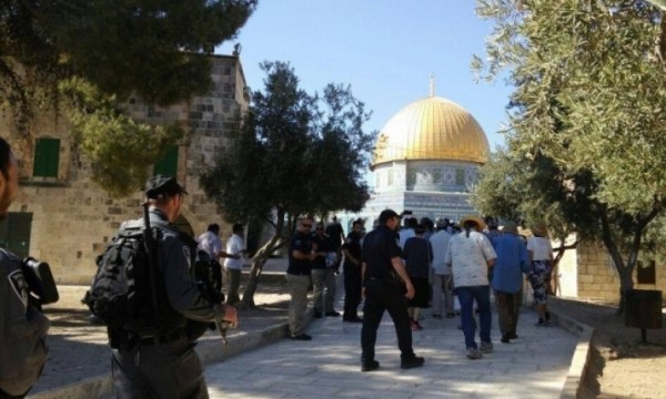 الاحتلال يعتقل أحد حراس المسجد الأقصى