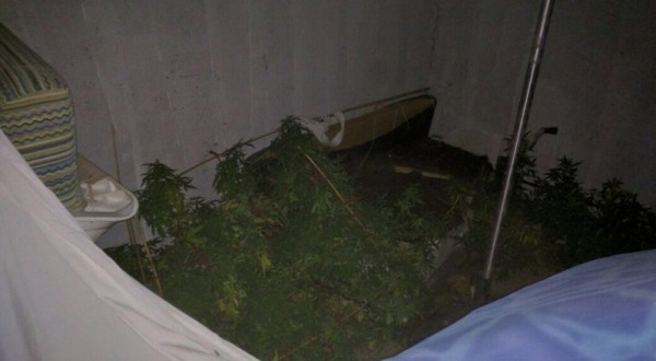 البحر الميت: القبض على 4 عمال أجانب حولوا شرفة الى مختبر للمخدرات