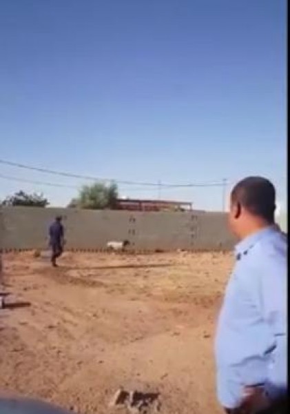 خروف ينهك قرية بأكملها بعد هروبه من أحد المزارع
