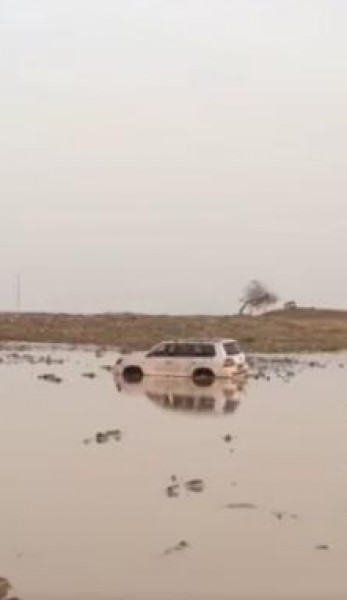 لا تستغرب بعد المشاهدة!!