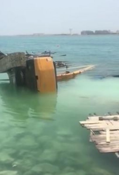 كباش ضخم يغرق في مياه البحر
