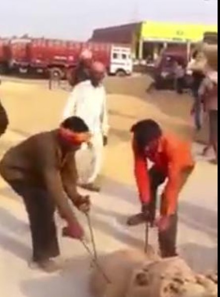 العمل الجماعي