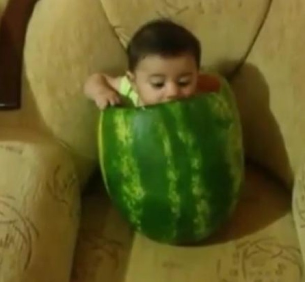 طفل البطيخ