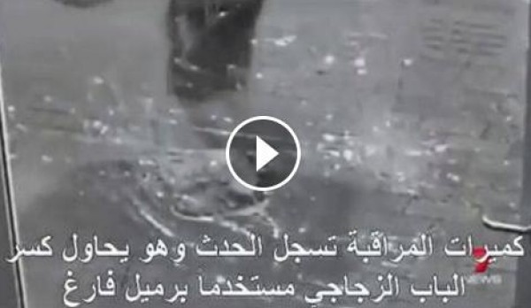 أغبى اللصوص على الإطلاق