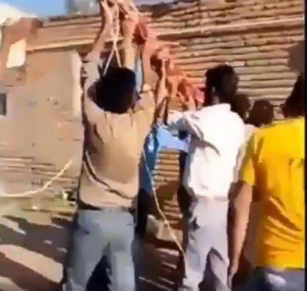 صعقة كهربائية جماعية
