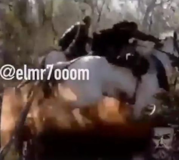 أسوء ما قد يحدث في سباقات الخيل