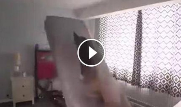 شاهد...لمحبي النوم "المنبه" العجيب