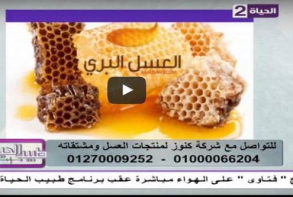 بالفيديو: تعرف على " أنواع مشتقات عسل النحل"