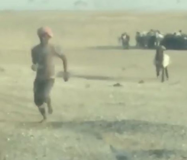 مطاردة من نوع أخر