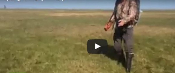 فقاعات هوائية تحت أرض عشبية في سيبيريا